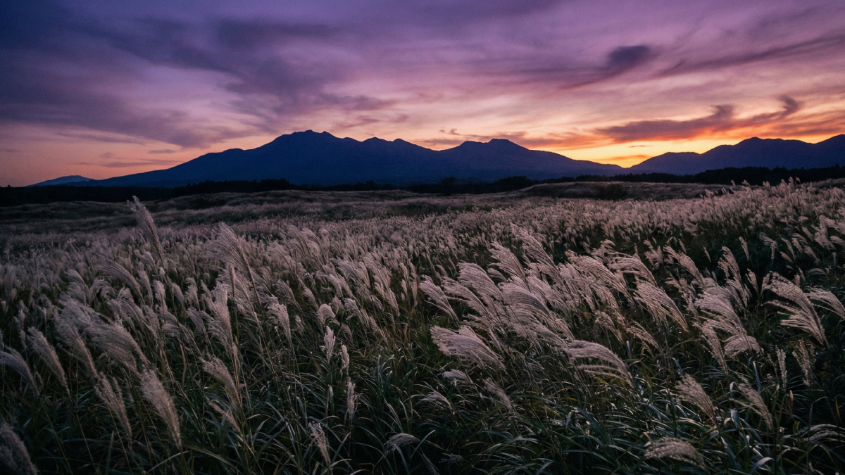 静寂に包まれた広大なススキ野原と、遠くにそびえる山々の夕景のイメージ